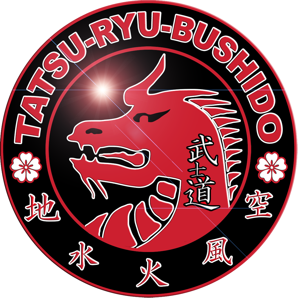 TATSU-RYU-BUSHIDO.test
